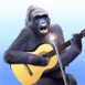 Gorille  la guitare sche